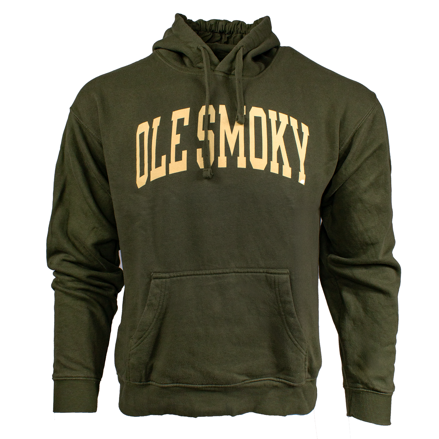 ARCH TEXT HOODIE - IVY